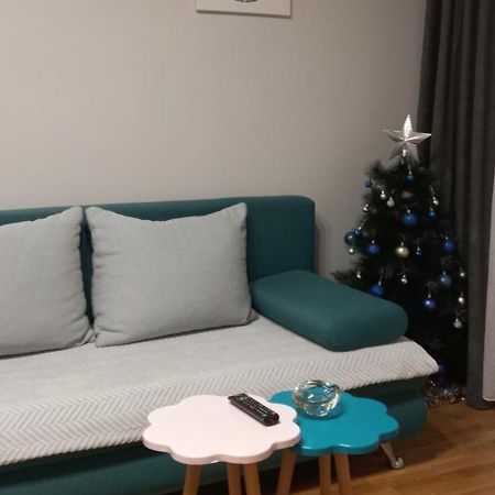 Apartment Marija Belgrad Dış mekan fotoğraf