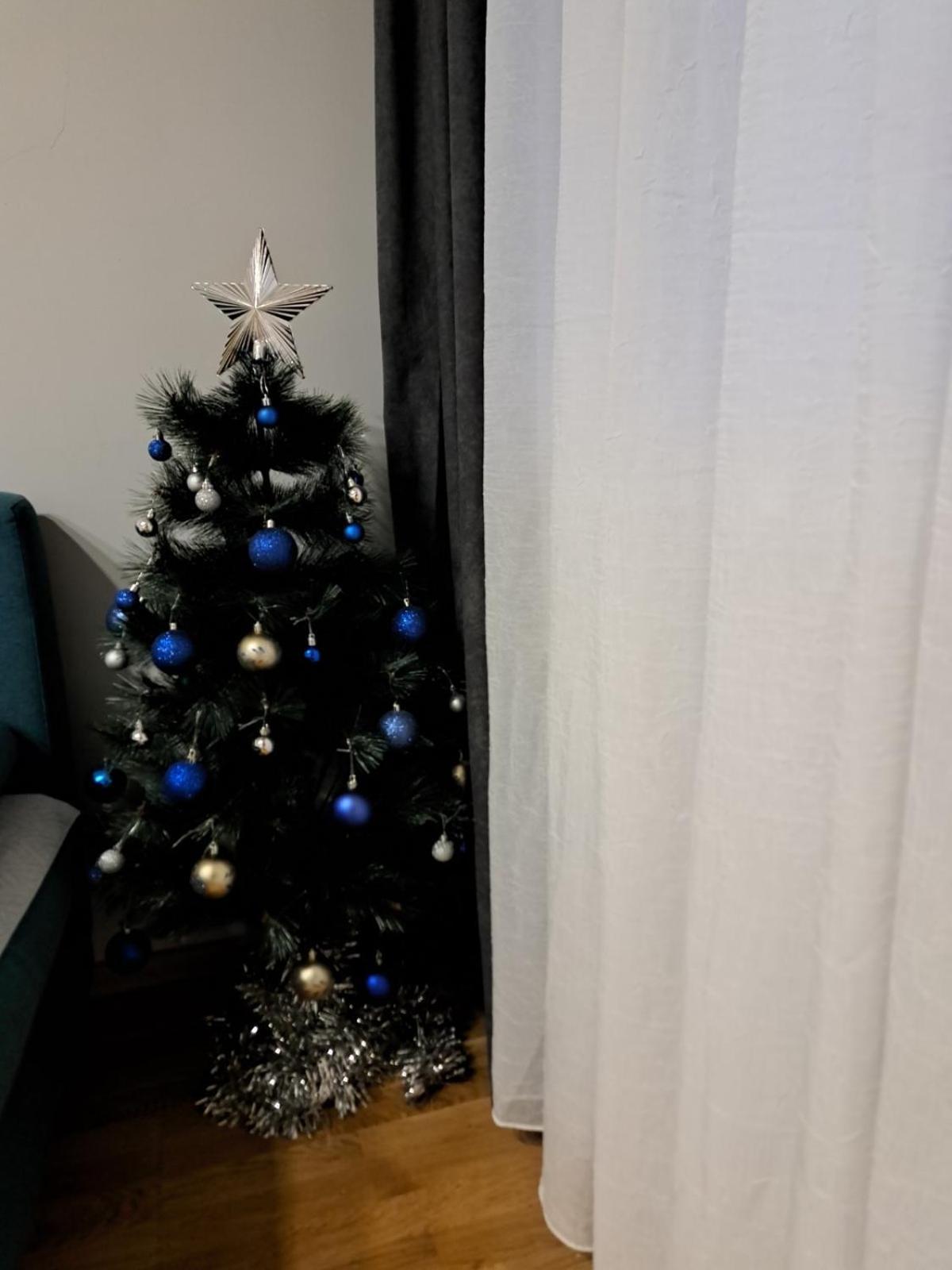 Apartment Marija Belgrad Dış mekan fotoğraf